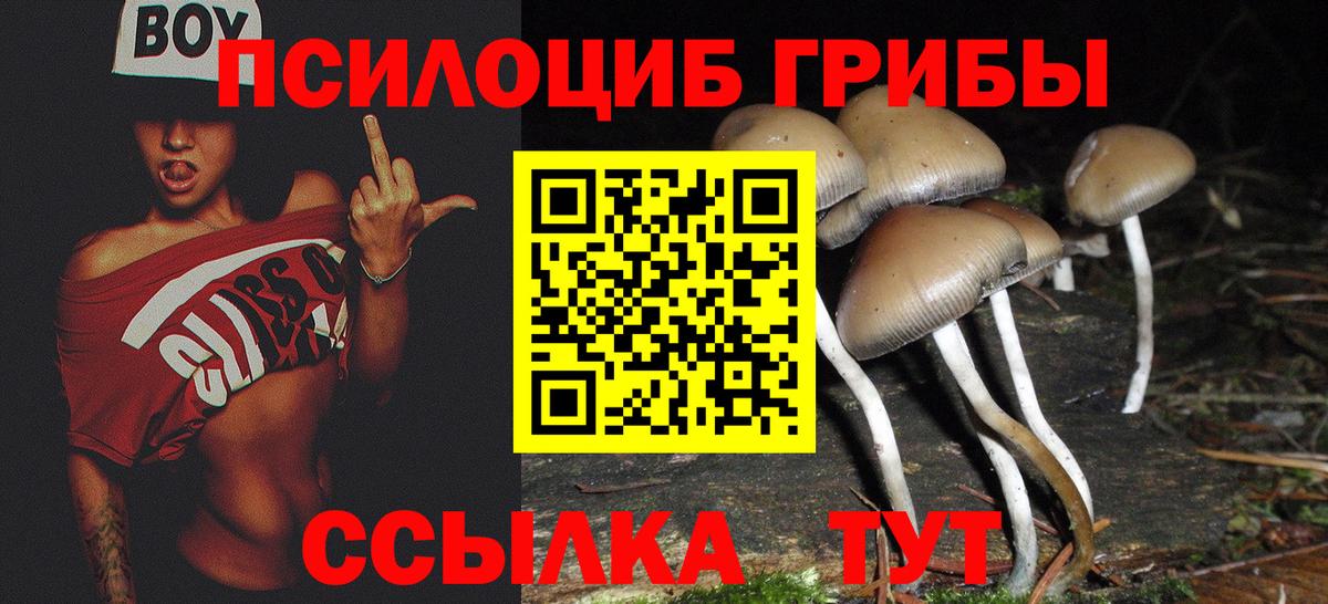 Ржев  Псилоцибиновые грибы мухоморы  Псилоцибиновые грибы мухоморы  Вход с VPN 